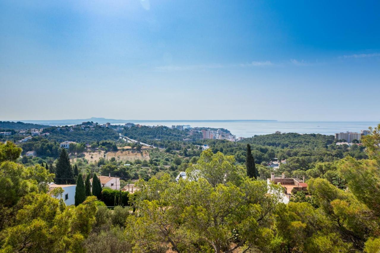 Big Villa Can Pedro In Palma De Mallorca Bagian luar foto